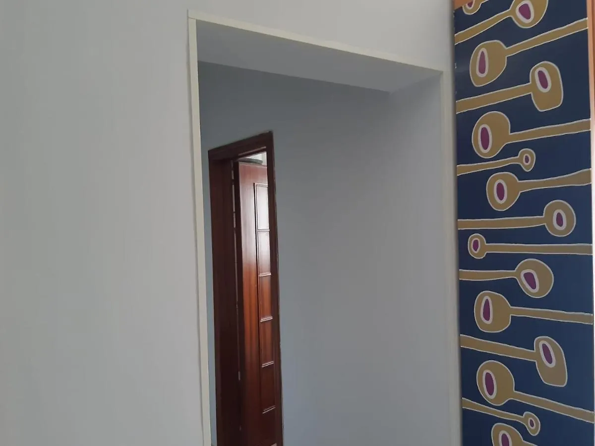 شقة 